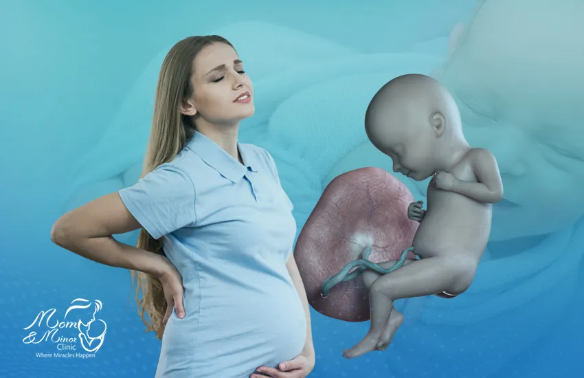 اسباب المشيمة المتقدمة ومخاطرها المحتملة